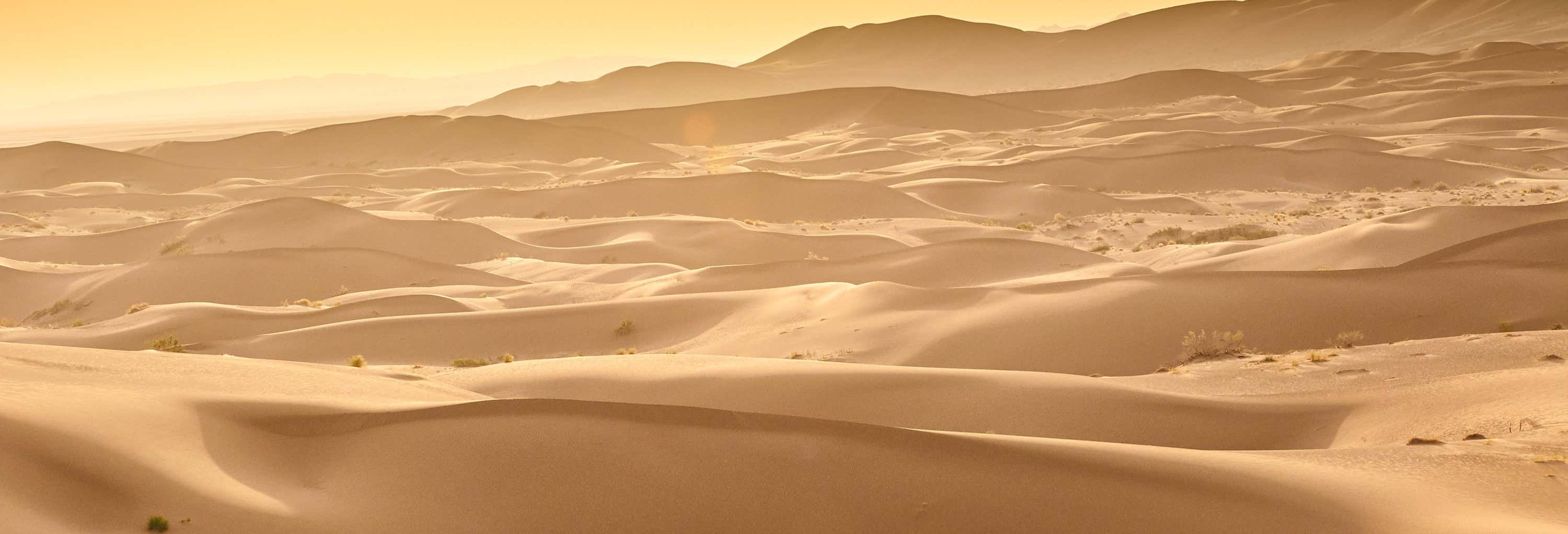 Excursión al desierto de Varzaneh