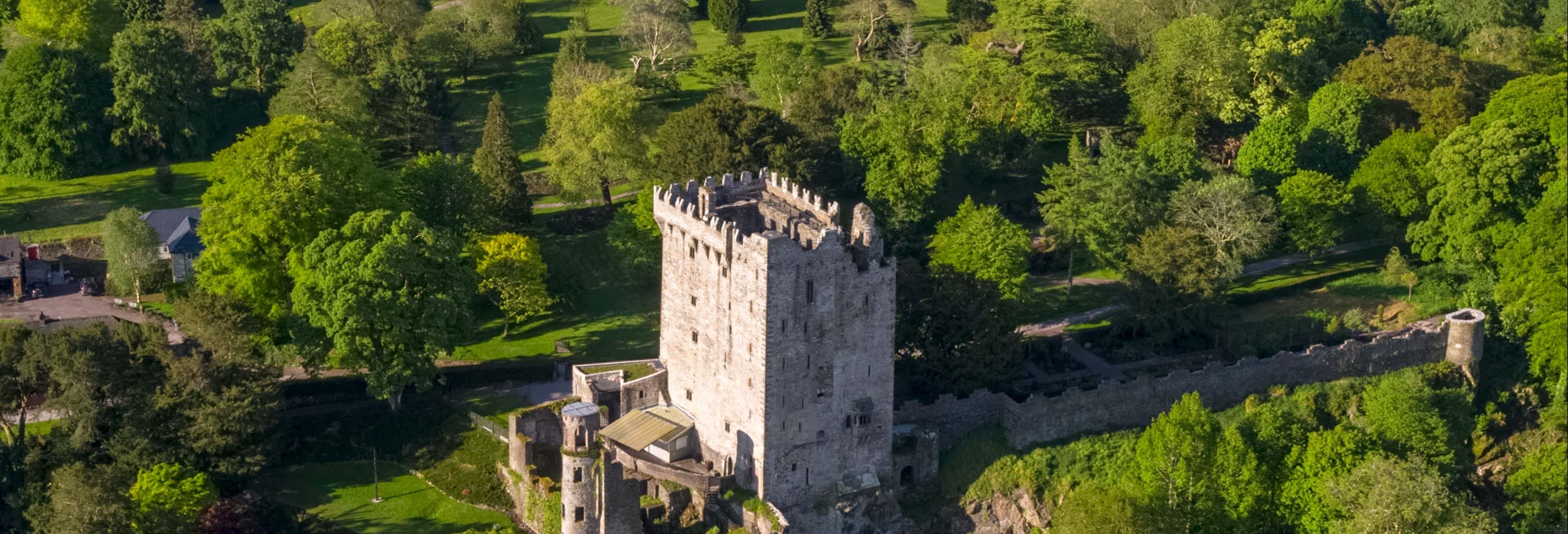Blarney Castle & Cork Tour