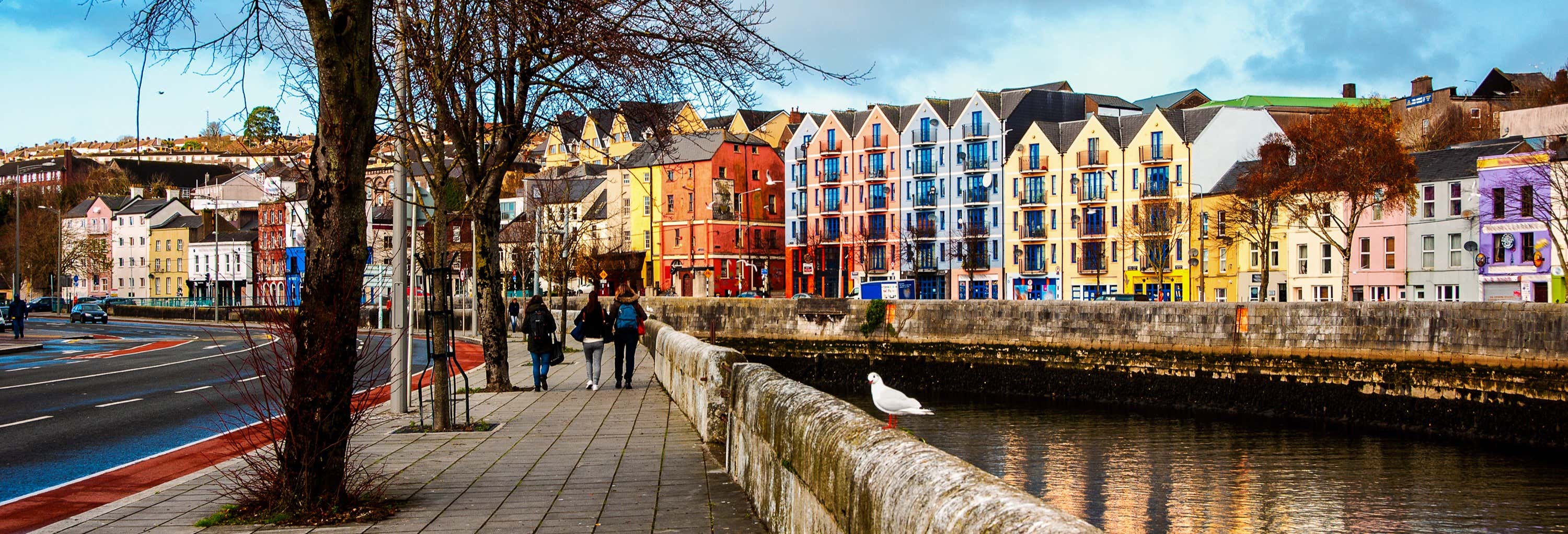Excursion à Cork