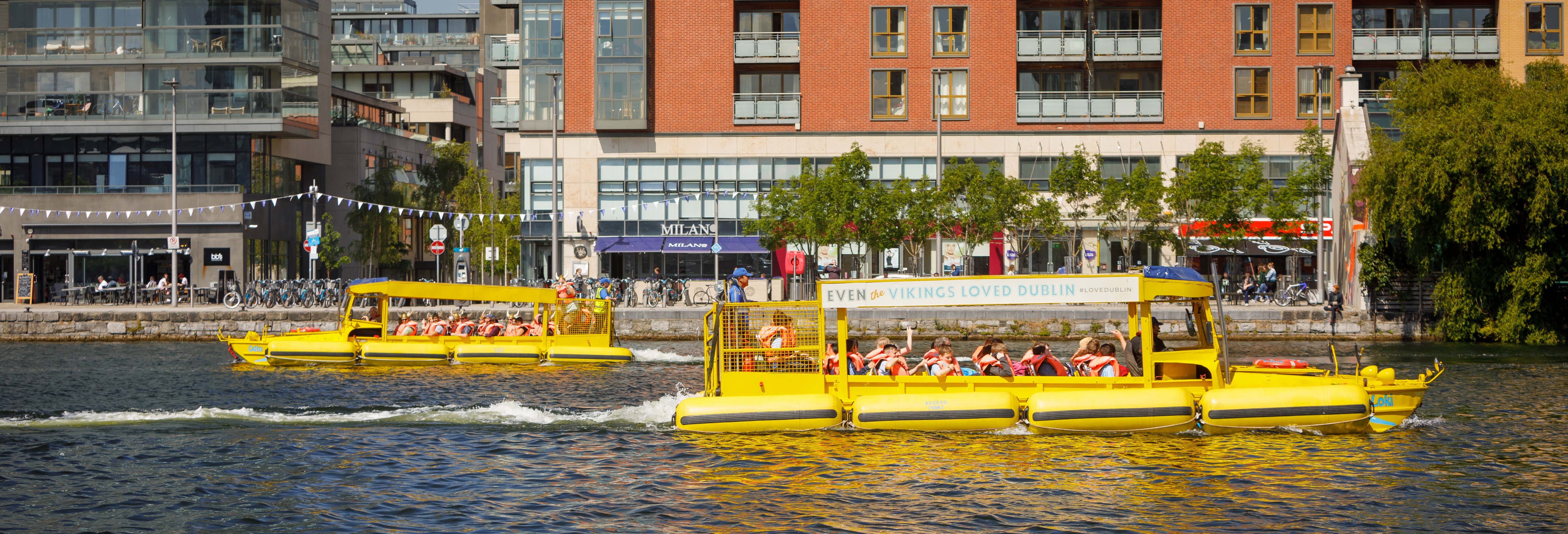 Dublin Viking Tour