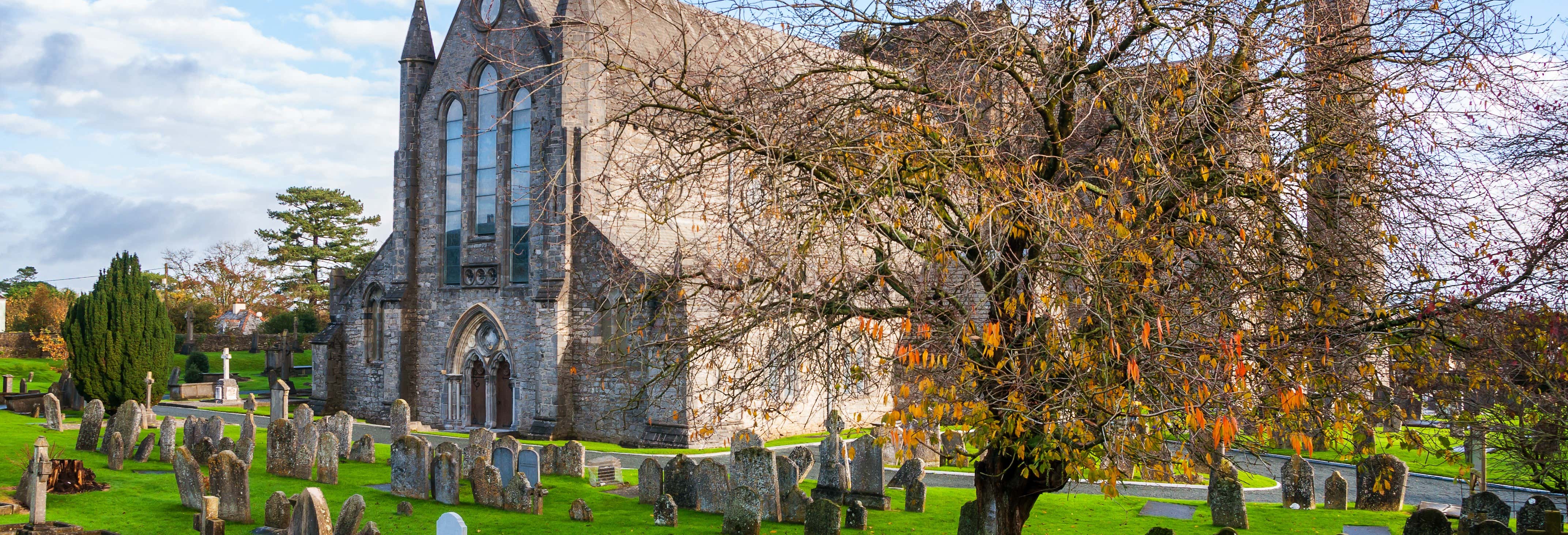 Visita guiada por Kilkenny
