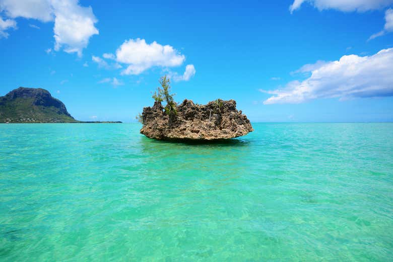Benitiers Island And Le Morne Boat Trip