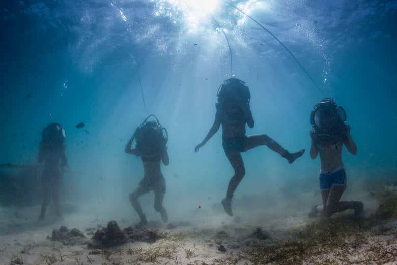 Underwater Sea Walk In Mauritius Book Online At Civitatis Com