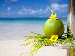 Disfrutando de un coco en una playa paradisiaca