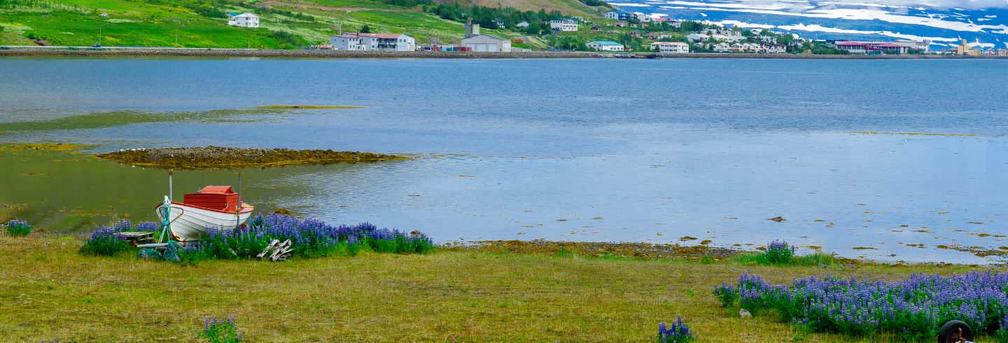 Tour por los Westfjords para cruceros