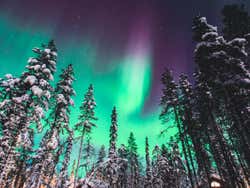 Aurora boreal en el bosque de Islandia
