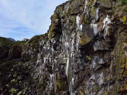 Aves em Borgafjordur Eystri