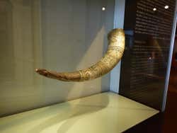Cuerno vikingo en el Museo Nacional