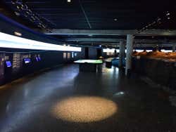 Interior de The Settlement Exhibition