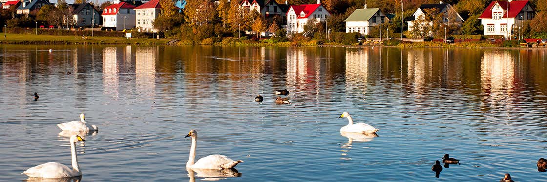 Lago Tjörnin