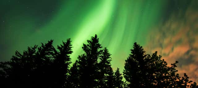 Golden Circle and Northern Lights Tour