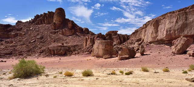 Timna Park Tour