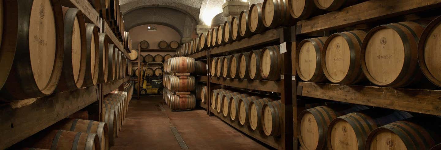 Visita a la bodega Argiolas