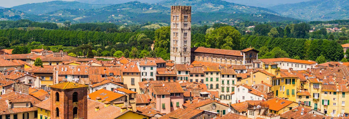 Private Day Trip from Florence