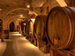Visiting a wine cellar in Chianti