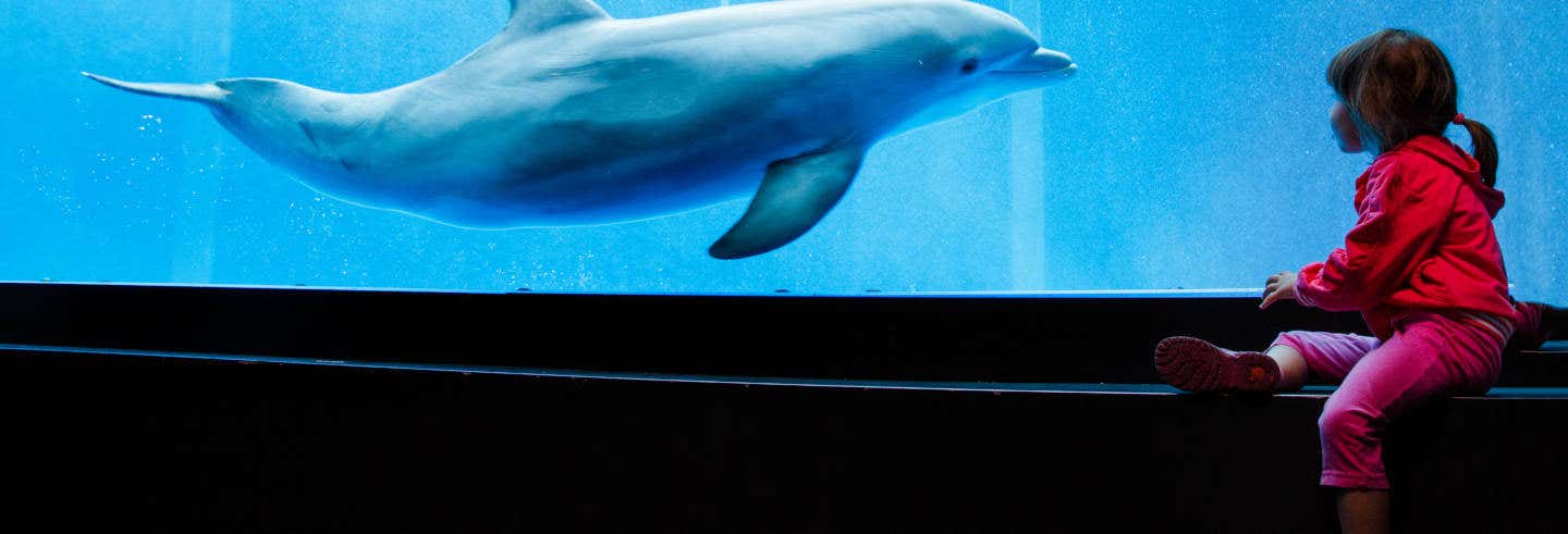 Genoa Aquarium and City of Children Ticket