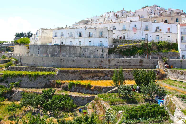 Visita Guidata Di Monte Sant'Angelo - Prenotazione A Civitatis.com