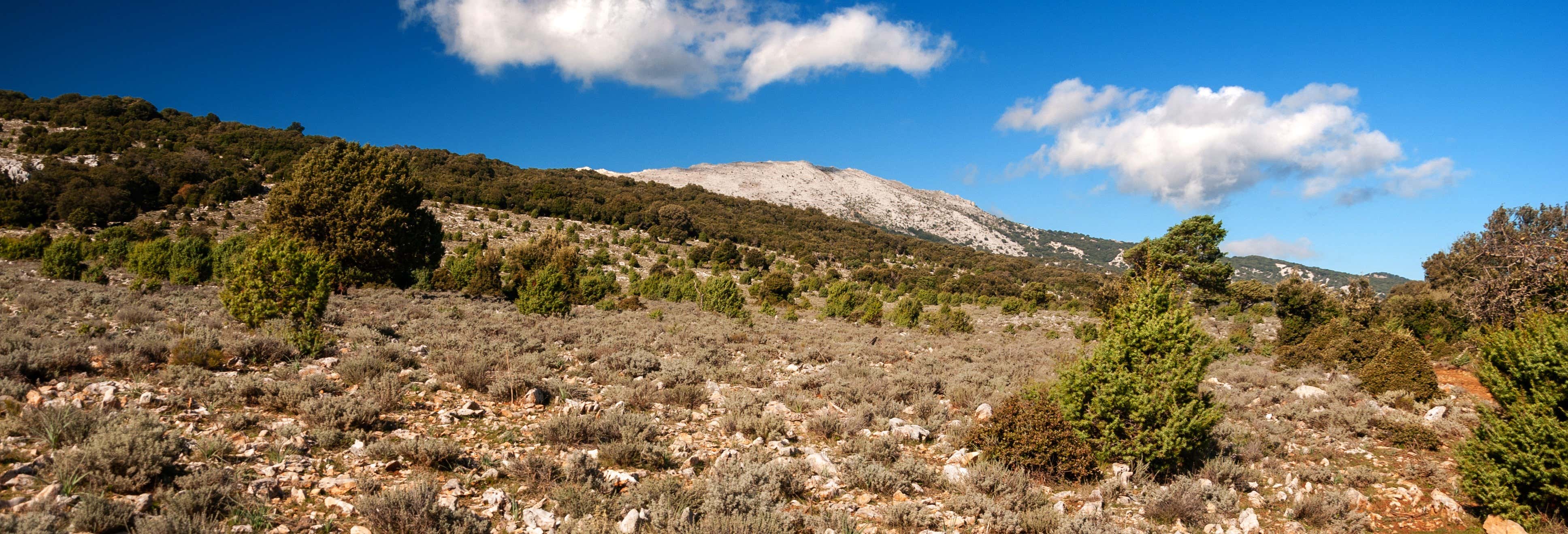 Excursion à Orgosolo et Mamoiada