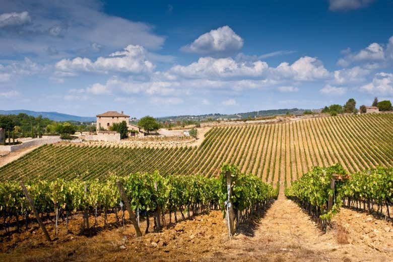 Paisagem típica da Toscana