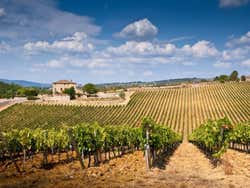 Paisagem típica da Toscana