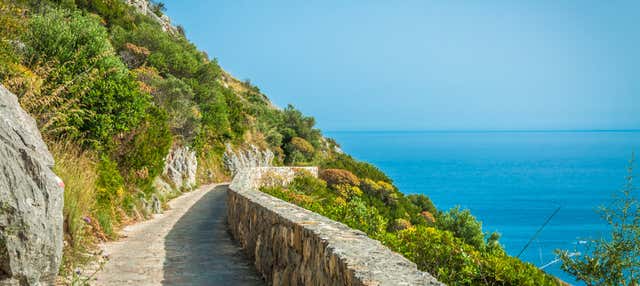 Excursion to the Path of the Gods