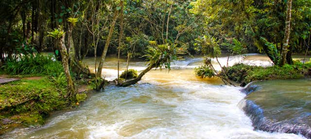 Dunn's River Falls Day Trip