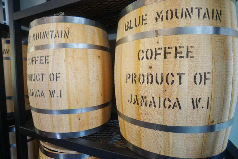 blue mountain coffee