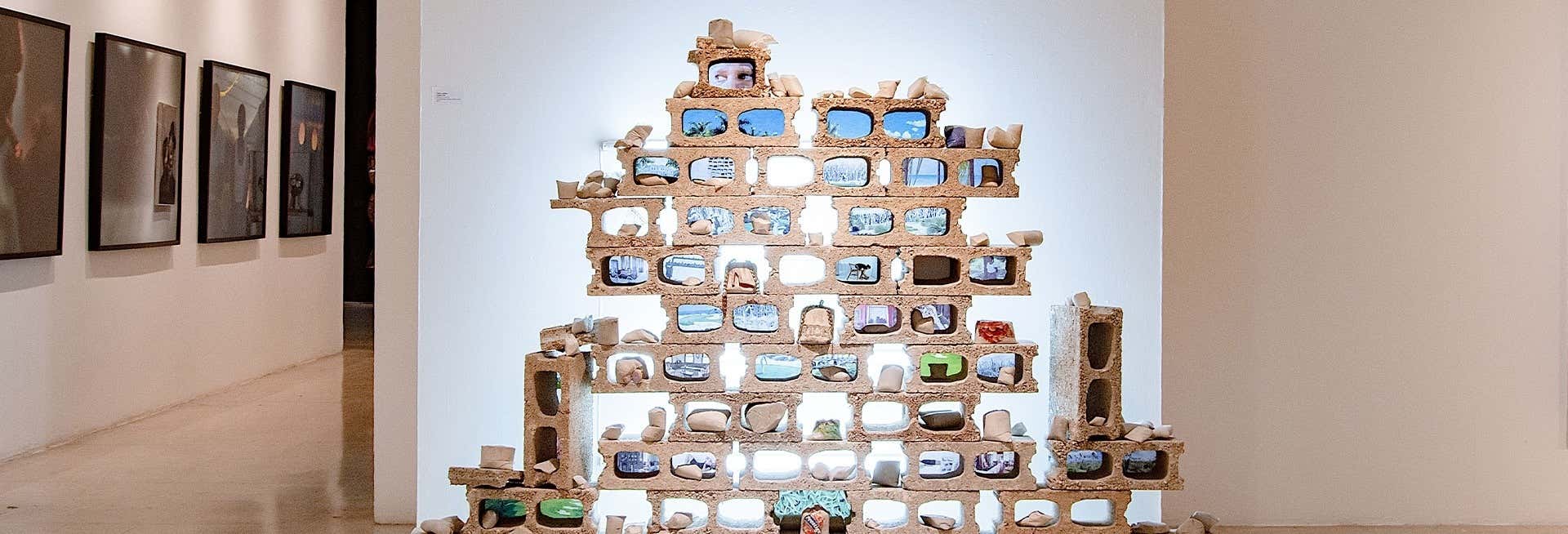 Tour delle gallerie d'arte di Kingston