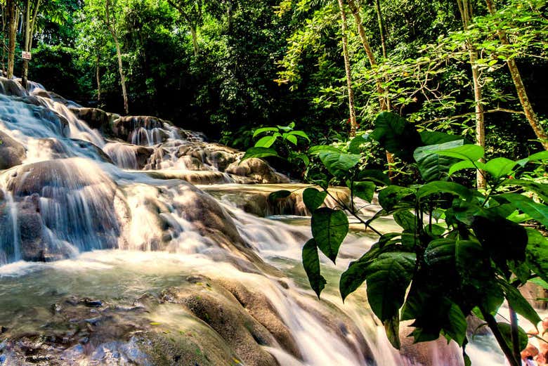 Bob Marley, Dunn's River Falls & Luminous Lagoon Tour, Negril