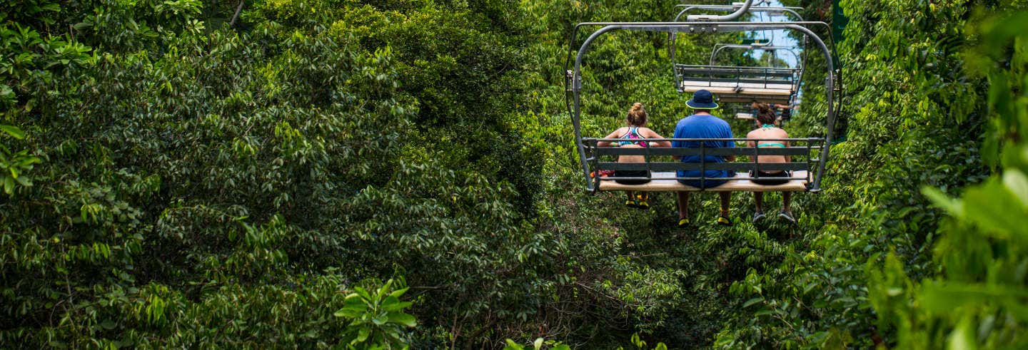 Entrada a Rainforest Adventures Mystic Mountain