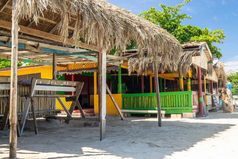 ,Excursión a Playa Negril