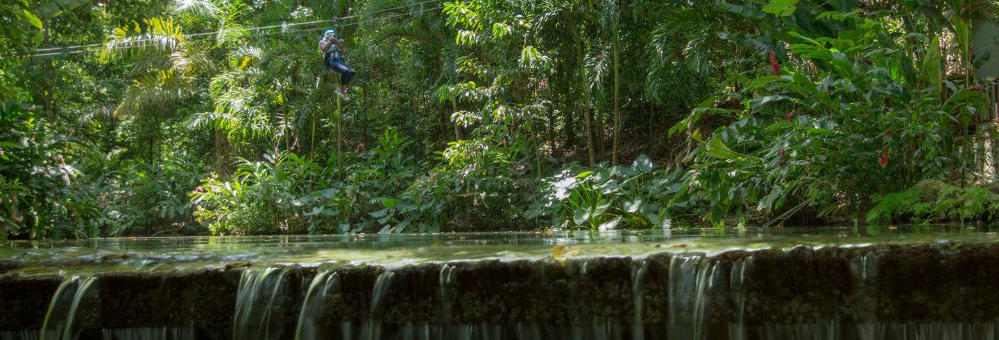 Excursión a Rainforest Adventures Mystic Mountain