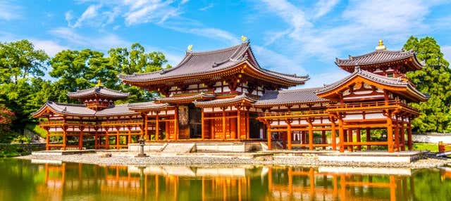Bamboo Grove Tour and Zen Meditation