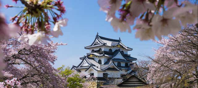 Excursión a Osaka