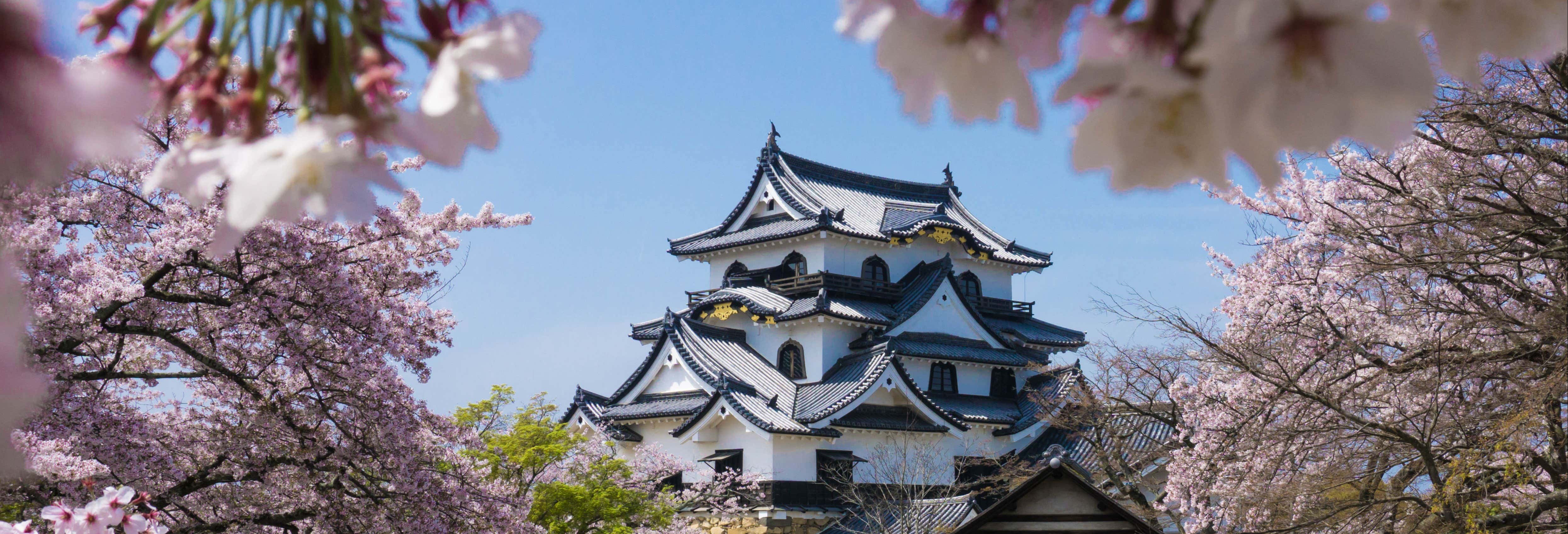 Excursión a Osaka