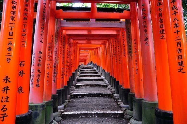 ,Excursión a Nara