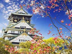 ,Excursión a Osaka