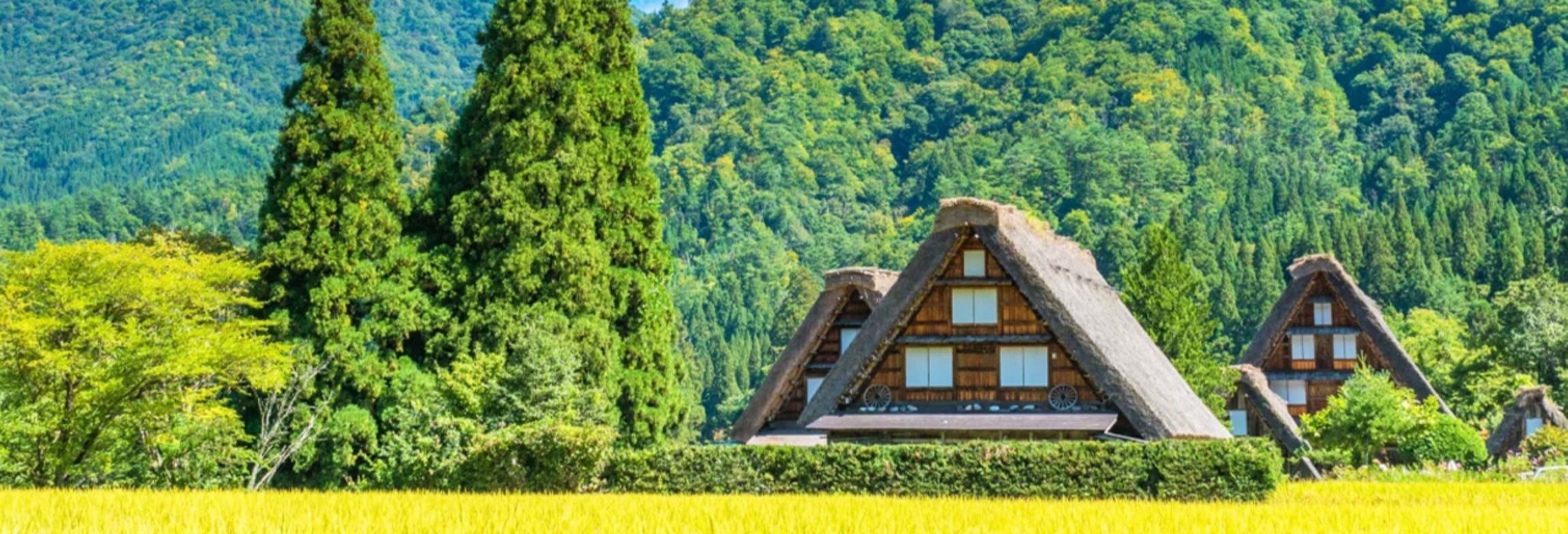 Escursione a Takayama e Shirakawa-go