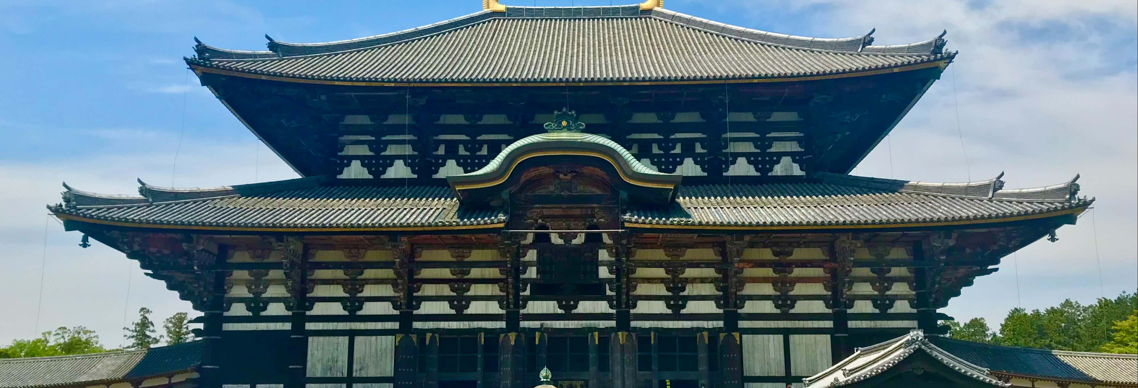 Visita guiada por Nara