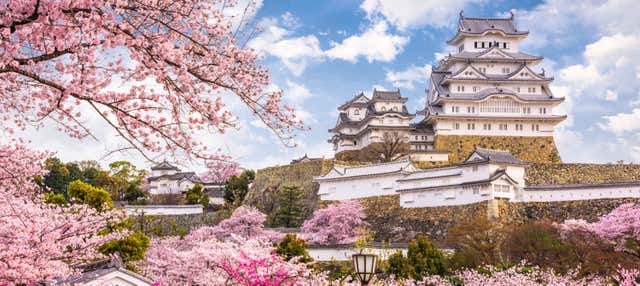 Excursión a Himeji y Kobe