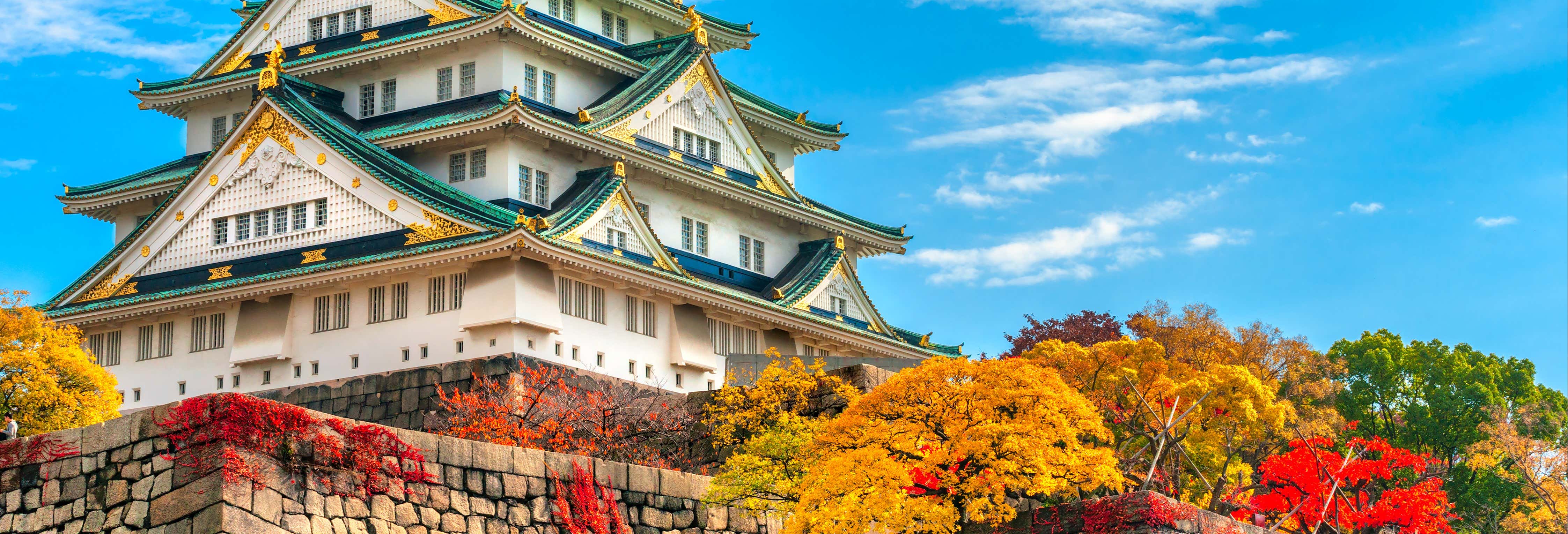 Visita guiada por Osaka