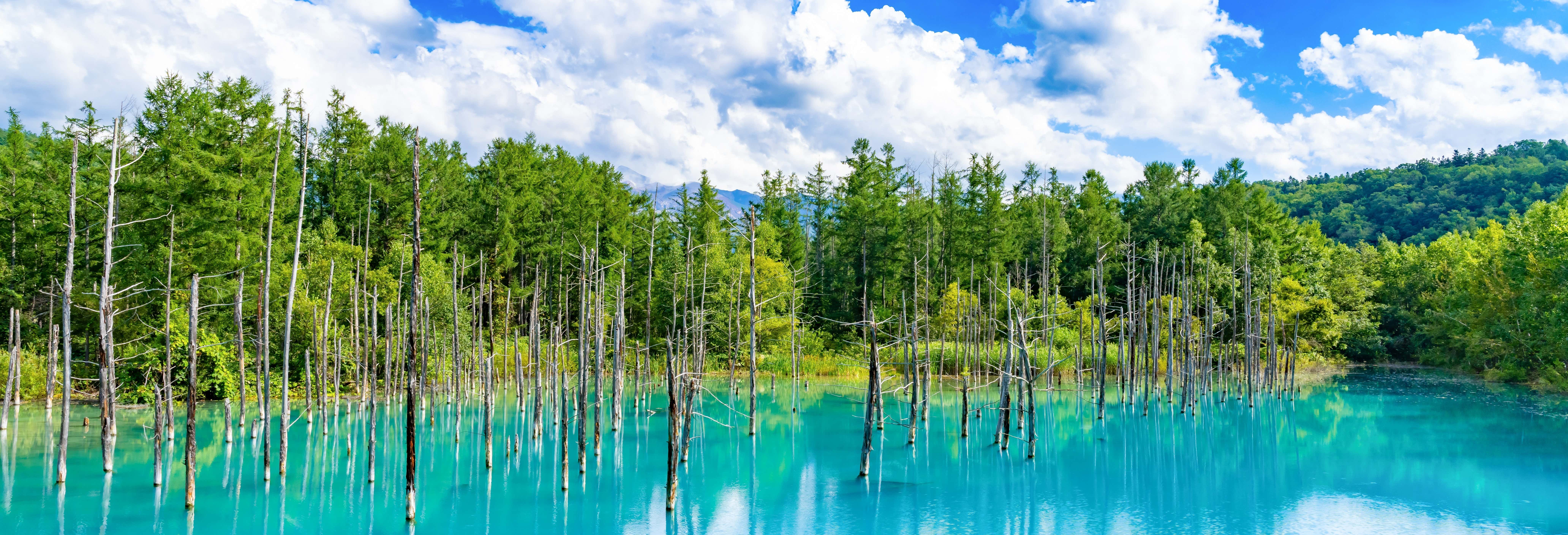 Hokkaido Blue Pond & Lavender Fields Day Trip