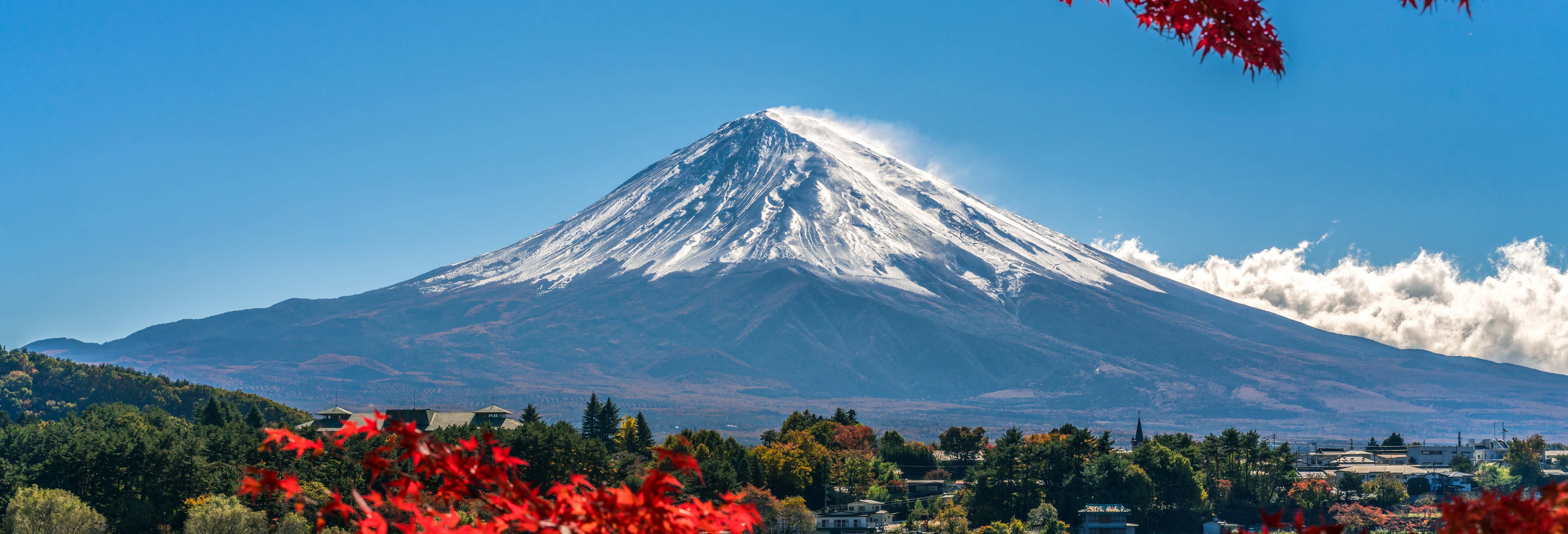 Fujiyama Snow Resort Yeti & Izu Fruit Park Trip