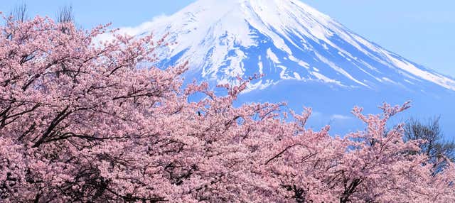 Excursão ao monte Fuji e ao lago Ashi