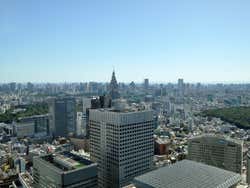 Metropolitan Government Building, belvedere