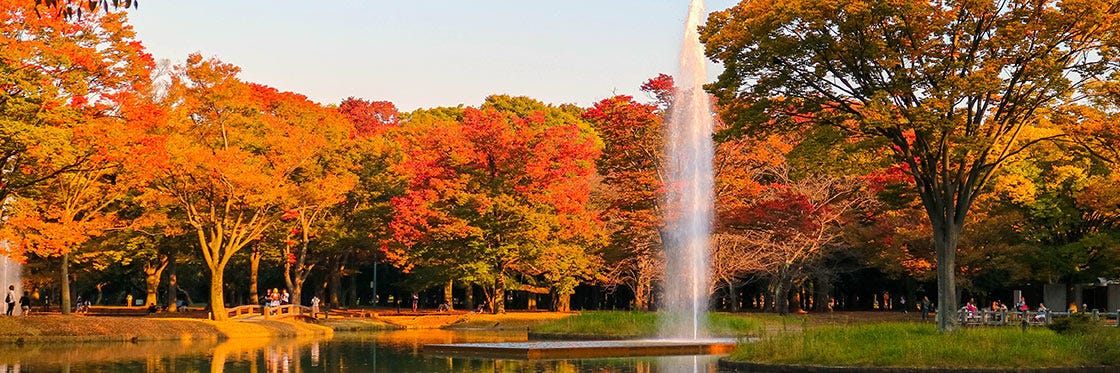 Parque Yoyogi - El parque más animado de Tokio