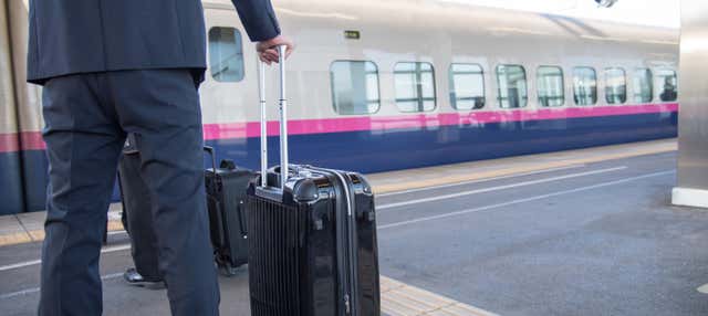Japan Rail Pass + Spedizione postale