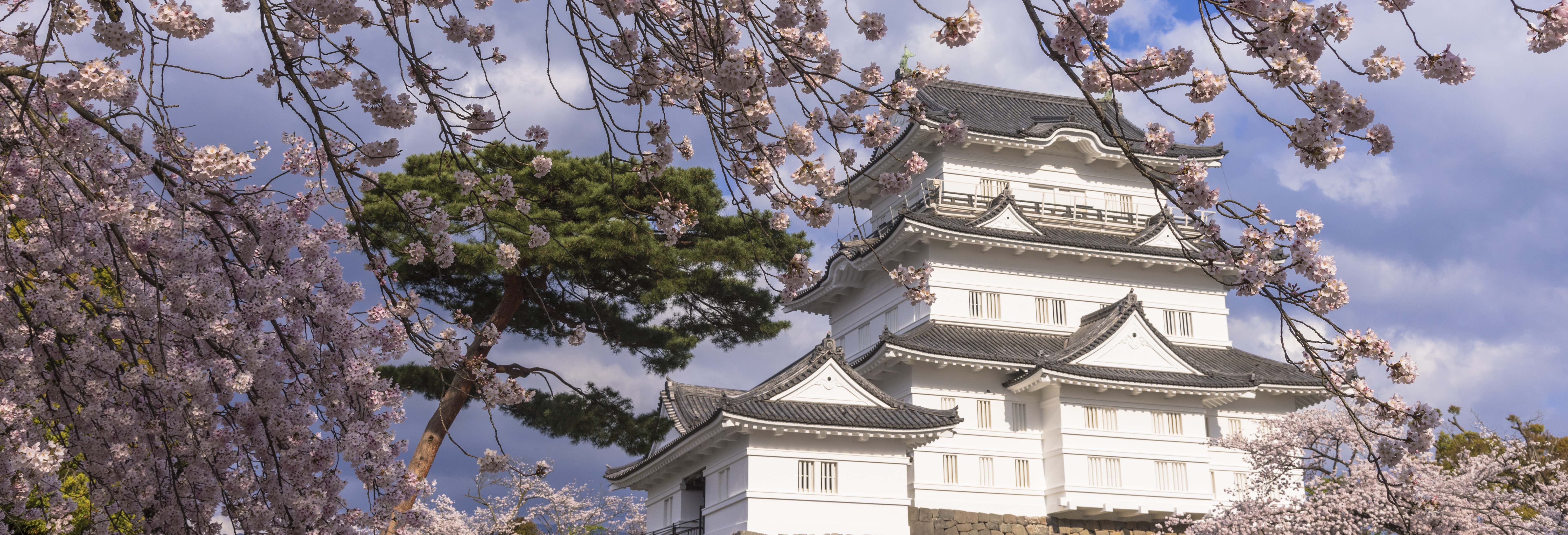 Monte Fuji, Castello di Odawara e lago Ashi