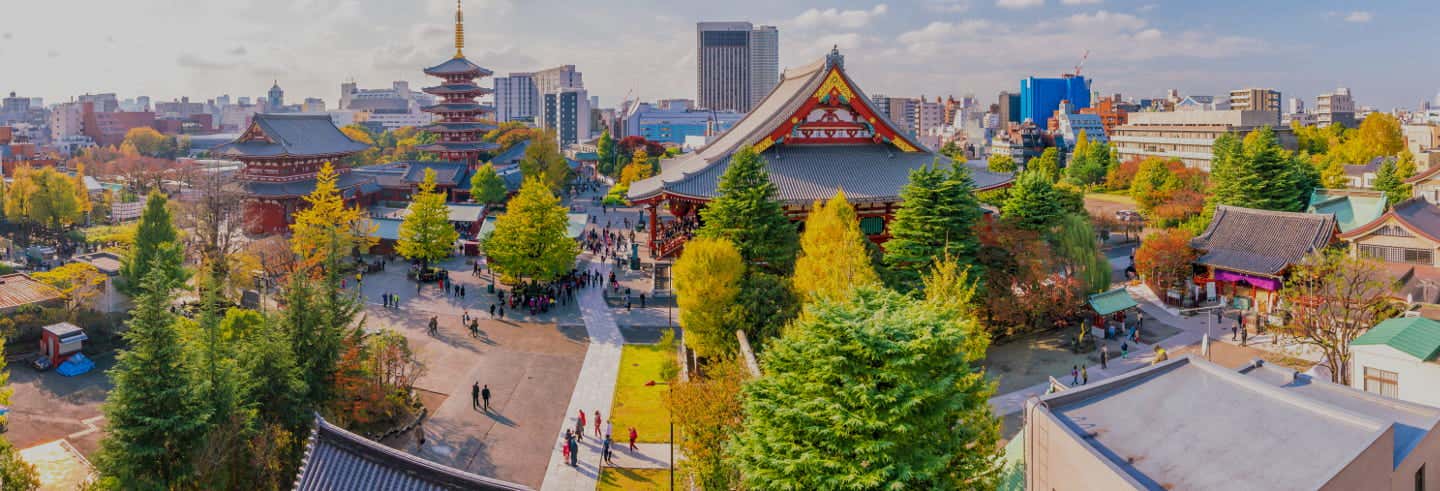 Oferta: Tour por Asakusa y Akihabara