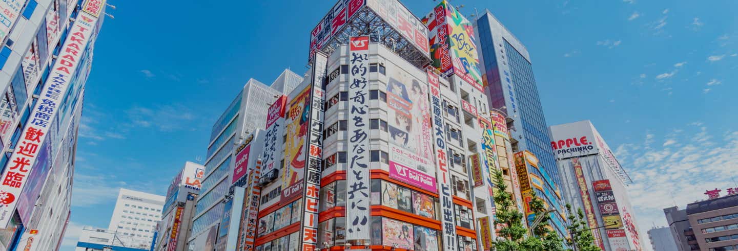 Oferta: Tour por Harajuku y Akihabara